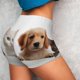 thumbnail image 4 of Fotbe Cute Kittens And Puppy Shorts Sin Costuras – Shorts Deportivos de Cintura Alta para Mujer, Elásticos para Gimnasio, Yoga, Running o Ciclismo-Small, 4 of 8