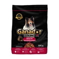 thumbnail image 1 of Alimento para Perro Ganador Premium Adulto Razas Medianas y Grandes 500 g, 1 of 4