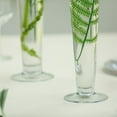 "BalsaCircle Set of 12 Large Clear 20"" Glass Trumpet Vases - Elegant ...