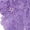 Purple, variant on Huhudde Women Seamlesses Underwear Thongs for Women,Breathable Not Show Ladies Thongs Comfortable Panties Soft Undie G-String