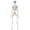 B, variant on 1PC 3FT Halloween Skeleton, Posable Full Body Decoration for Haunted House,C,35"