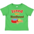 thumbnail image 3 of Inktastic Bloodhound Loved by a (dog Breed) Boys or Girls Toddler T-Shirt, 3 of 5