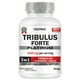 thumbnail image 1 of TRIBULUS FORTE PLATINUM | Vitaminas para hombre | 3 en 1 |Tribulus+ maca +curcuma | 100% herbal 90 capsulas Testrol Platinum, 1 of 3