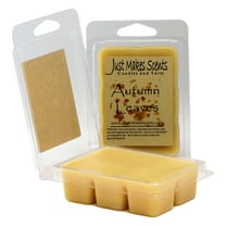 Autumn Leaves 2-Pack Wax Melts -Just Makes Scents Candles & Gifts