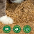thumbnail image 3 of Catalyst Pet Healthy Formula Cat Litter, 13.6-kg bag, 3 of 5