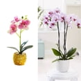 thumbnail image 3 of Wosthever Durabilidad duradera Flores artificiales para jardín Bonsai Decoración de boda artificial Maceta Ramo de Navidad orquídea bonsai Type3 NO3, 3 of 6