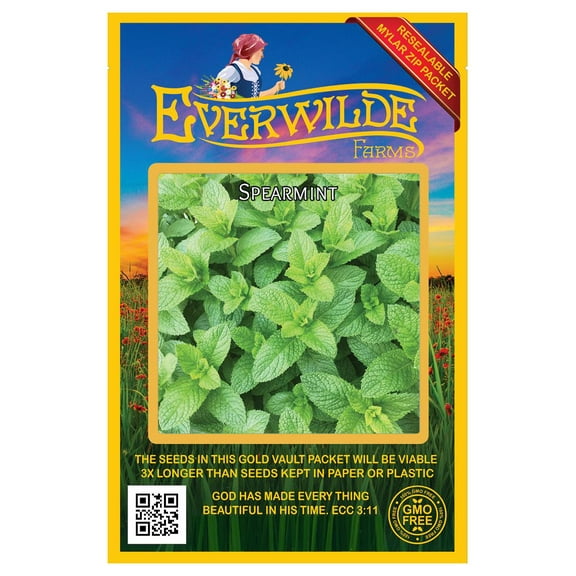 Everwilde Farms - 1000 Spearmint Herb Seeds - Gold Vault Seed Packet