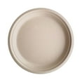 Tanxxt Clearance Plate Compostable Paper Plates Heavy Duty 50 Pack Biodegradable Disposable