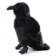 thumbnail image 4 of Peluche POPOTATO con forma de cuervo grande, realista, 24 cm, 4 of 7