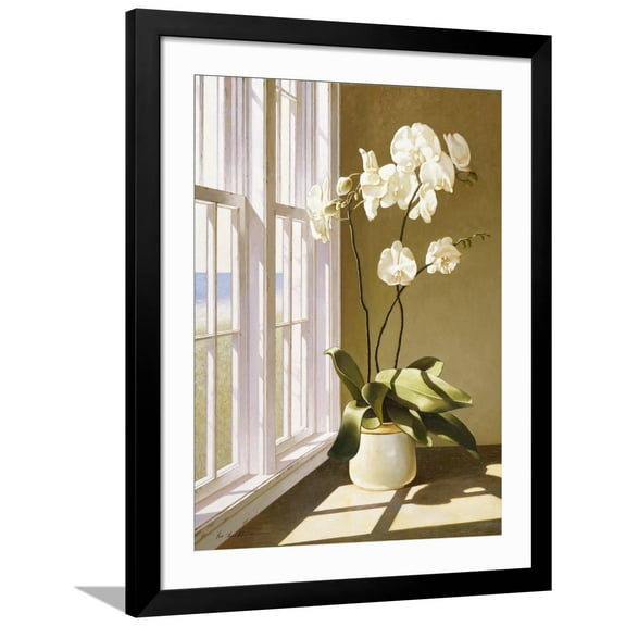 Art.com Flower In Window Giclee Print by Zhen-Huan Lu, Black Frame Wall Art, 32" x 40"