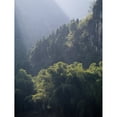 thumbnail image 2 of Posterazzi DPI1846517LARGE Yangshuo Guilin Guangxi Province China - Sunrays On Trees Poster Print, Large - 30 x 40, 2 of 4