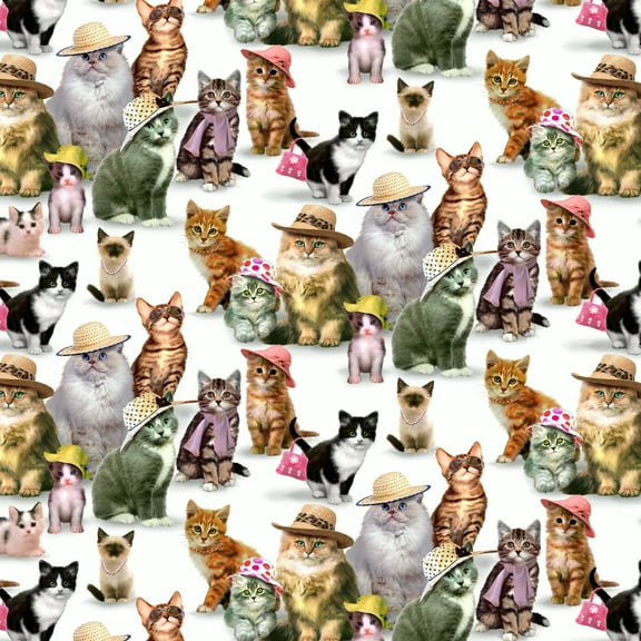 Cats Kittens in Hats Pattern Premium Roll Gift Wrap Wrapping Paper