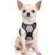 thumbnail image 1 of Rabbitgoo Arnés para Perros, Arnés para Mascotas Sin Tirones con 2 Clips para Correa, Chaleco Acolchado Suave Ajustable para Perros, Chaleco Oxford Reflectante para Mascotas sin Estrangulamiento con M, 1 of 4