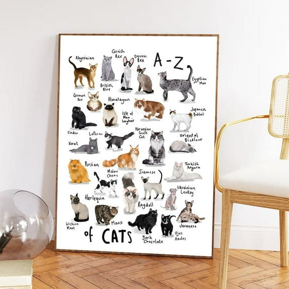 A-Z Cat Breeds Art Poster Illustrated Cat Poster Home Decor, 8x12 UNFRAMED