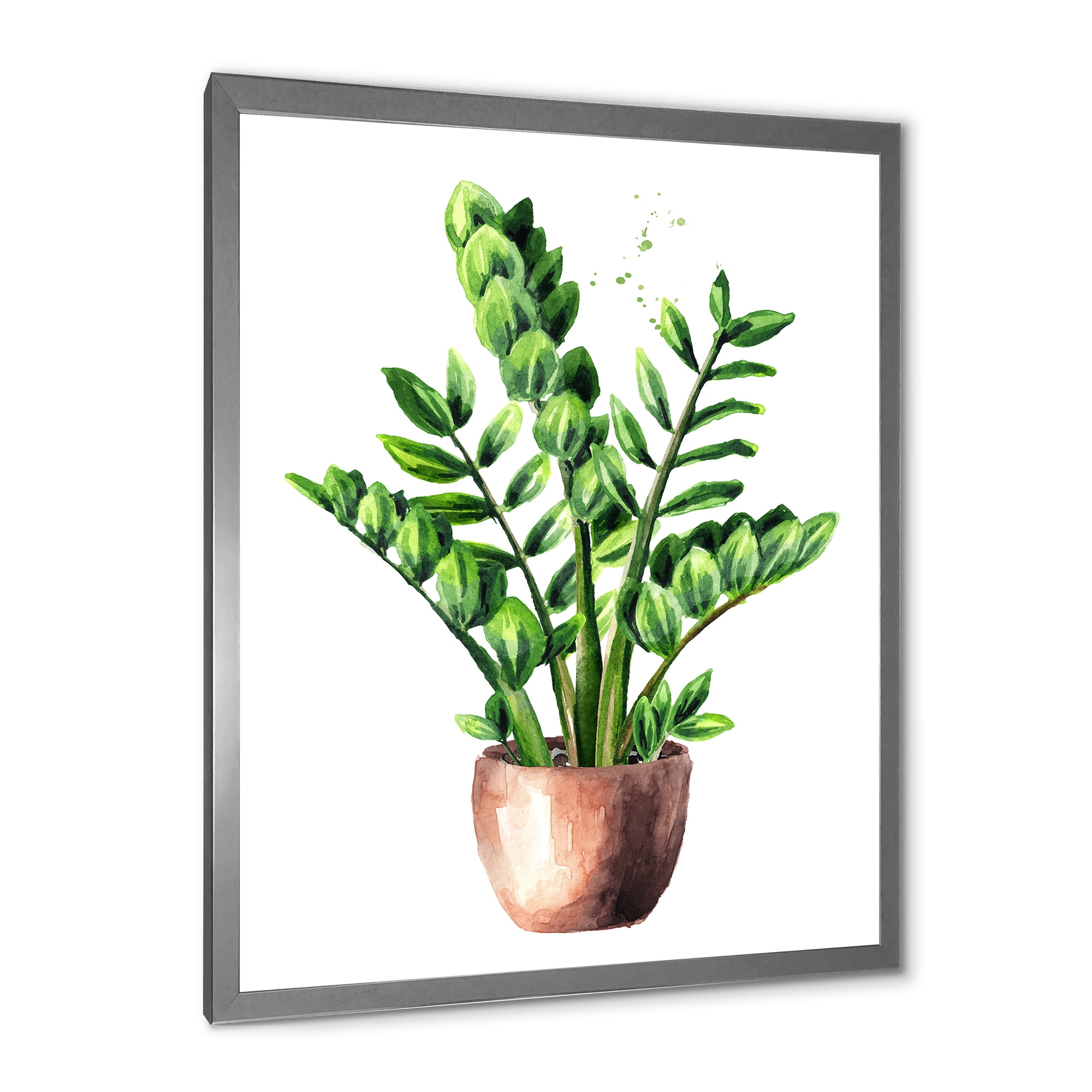 Designart 'Zamioculcas Tropical Plant With Green Leaves On White' Traditional Framed Art Print