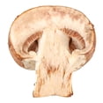 thumbnail image 3 of Cremini rebanado Marketside 225 g, 3 of 4