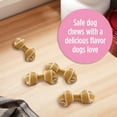 thumbnail image 5 of (4 Pack) Milk-Bone GnawBones Rawhide Free Dog Chews With Real Chicken, Long-Lasting Mini Dog Treats, 8 Chews Per Bag, 5 of 9