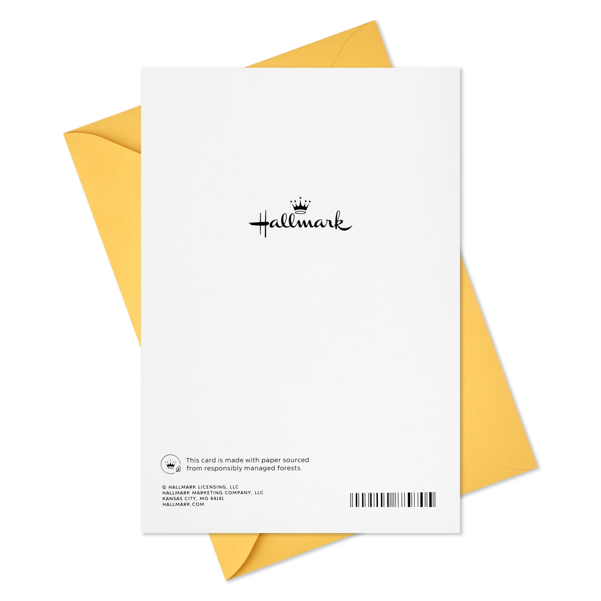 Hallmark 2nd Birthday Card (All the Fun)