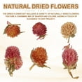 thumbnail image 3 of Natural Dried Flower Set, Dried Pressed Flowers (Globe Amaranth), 3 of 6