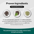 thumbnail image 5 of Shapiro MD Hair Loss Shampoo, DHT Fighting Vegan Formula for Thinning Hair, 8 ounce (1 Month), 5 of 6