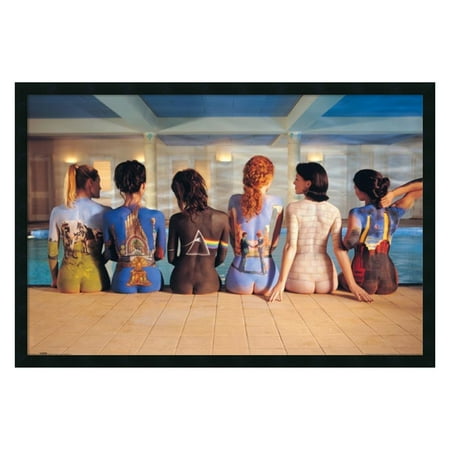 Pink Floyd Back Catalog Framed Wall Art - 37.41W x 25.41H in.