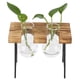 thumbnail image 4 of Florero de la planta maceta de vidrio de escritorio florero de vidrio con bombilla de soporte de madera maceta de planta hidropónica para el hogar oficina ANGGREK  Otros, 4 of 8