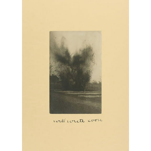 Will Write Soon, (Paperback)