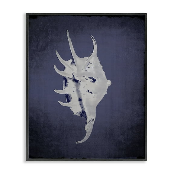 Stupell Industries Spider Conch on Indigo Nautical & Beach Painting Black Framed Art Print Wall Art, 11 x 14