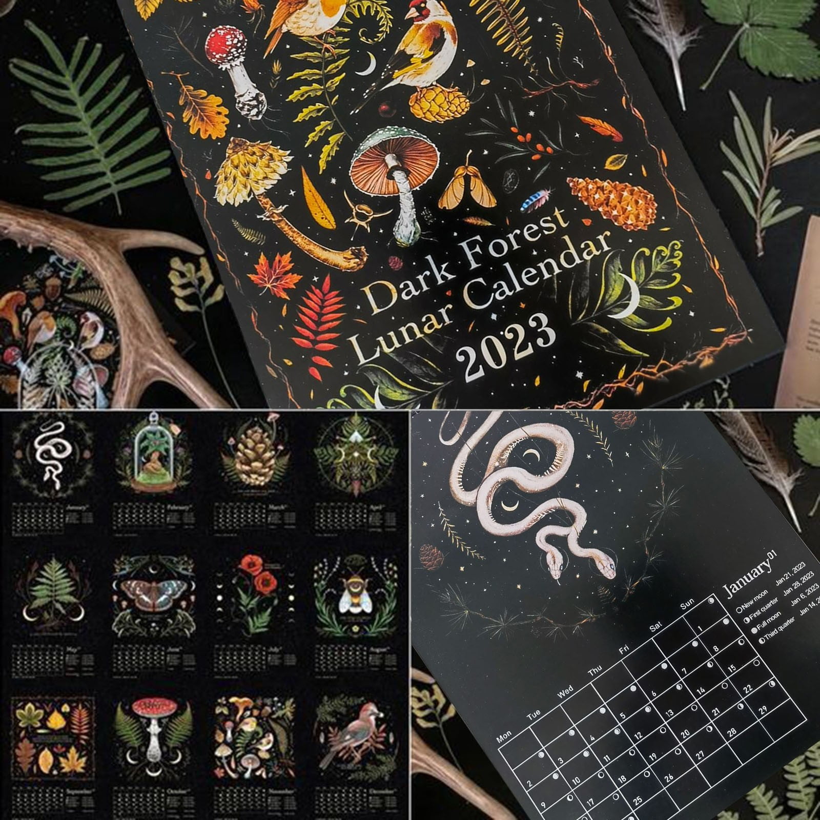 Dark Forest Lunar Calendar 2023 Illustrated Wall Calendar Art Monthly Moon  Calendar Wheel Of The Year Moon Phase Astrology Calendar - Walmart.com