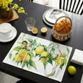 thumbnail image 4 of Placemats Set of 4 Washable,Farmhouse Placemat for Dining Table Decorations, Heat-Proof Table Mats for Kitchen Dinner Banquet Fresh Lemon Spring Summer Watercolor, 4 of 6
