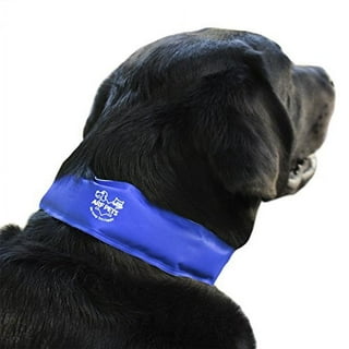 K9 chill shop dog cooling collar