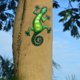 thumbnail image 3 of Escultura de decoración de pared de Gecko Sunnimix regalo de valla de jardín 22x13cm, 3 of 8
