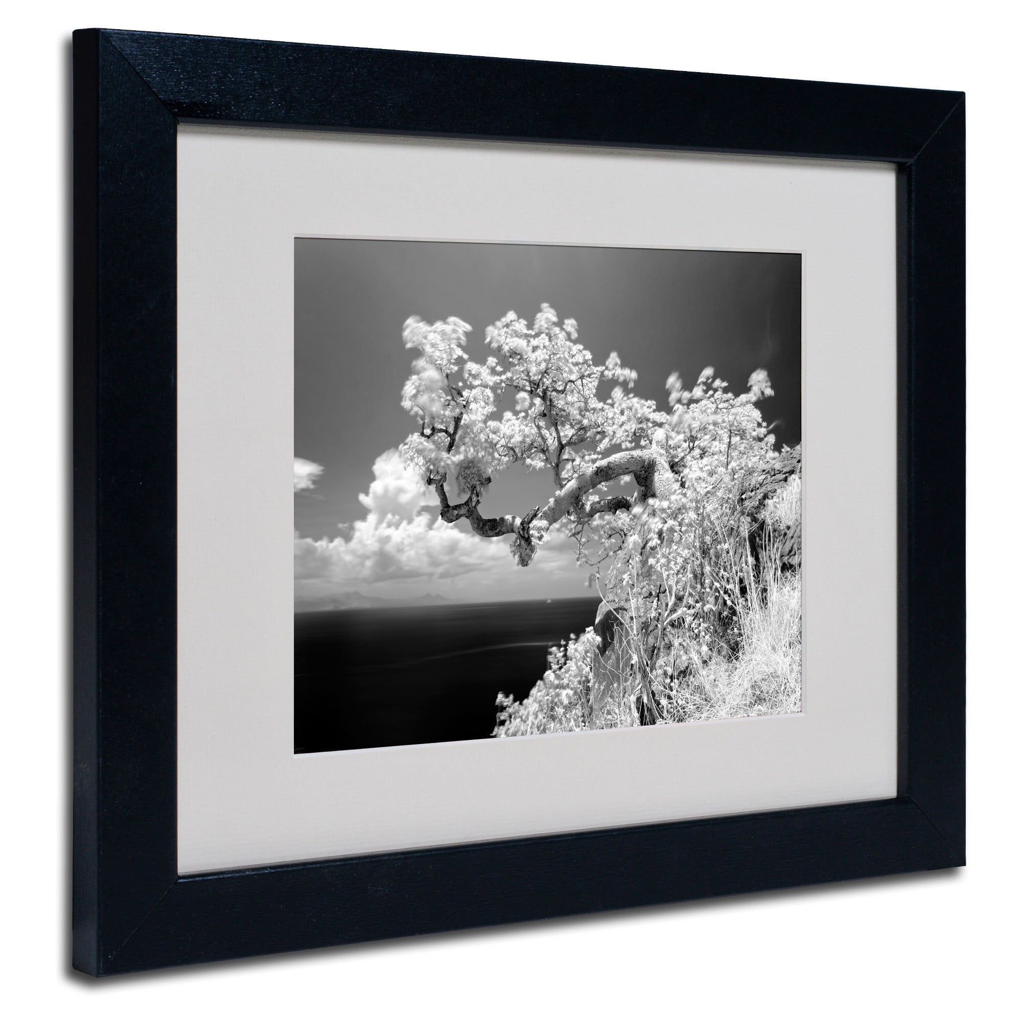Matted art under acrylic in a black frame