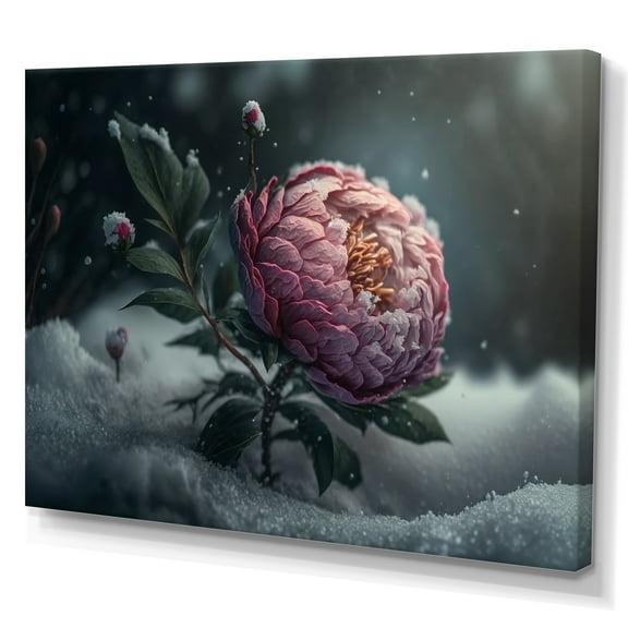 Designart A Blooming Pink Peony Flower In Winter III Canvas Wall Art