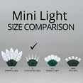 thumbnail image 4 of 50 T5 LED Cool White Mini Christmas Light Set, 4" Spacing, 17', Christmas Tree Lights White (Cool White, 17 Ft), 4 of 8