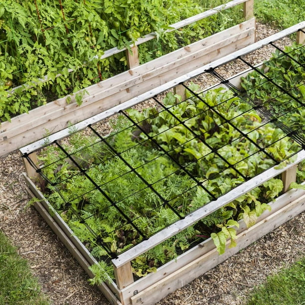 Holloyiver Scrog Net 4x4 Trellis Net for Grow Tent Heavy Duty Elastic Trellis Net with 4PCS Hooks for Indoor Plant Growing Tents Garden Plant Net 35.4 L x 15.7 W Walmart Business Supplies