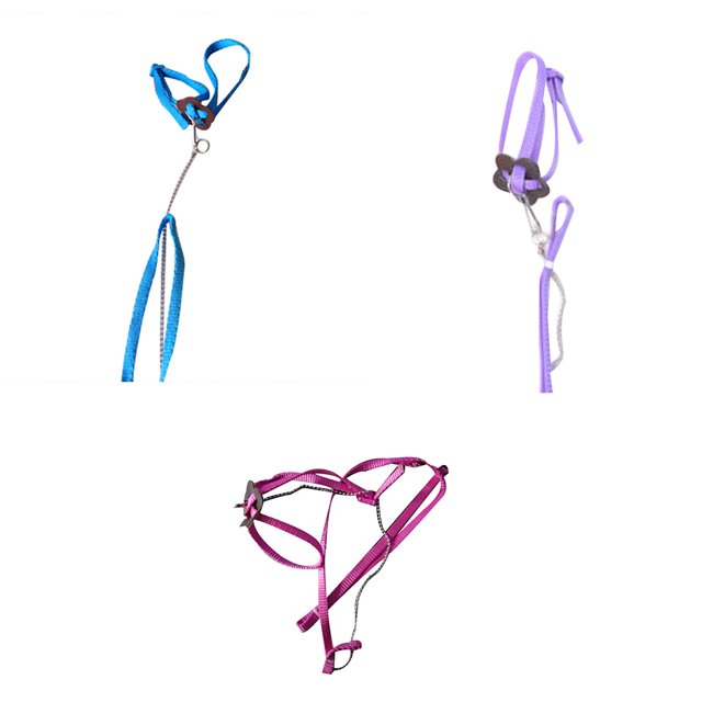 Workhe Pet Bird Vest Leash Outdoor Flying Anti-bite Nylon Outdoor Flying Bird Vest Leash Adjustable Bird Training Walking Leash Rope