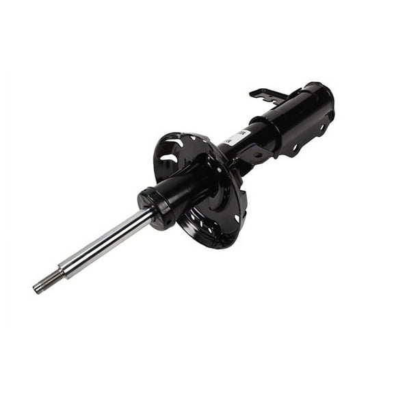 Front Driver Side Suspension Strut