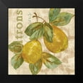 thumbnail image 2 of Gladding, Pamela 12x12 Black Modern Framed Museum Art Print Titled - Rustic Fruit III, 2 of 5