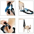 thumbnail image 3 of facefd Dog Hind Leg Auxiliary Belt Lift Harness Mobility Aid Support Harness M, 3 of 9