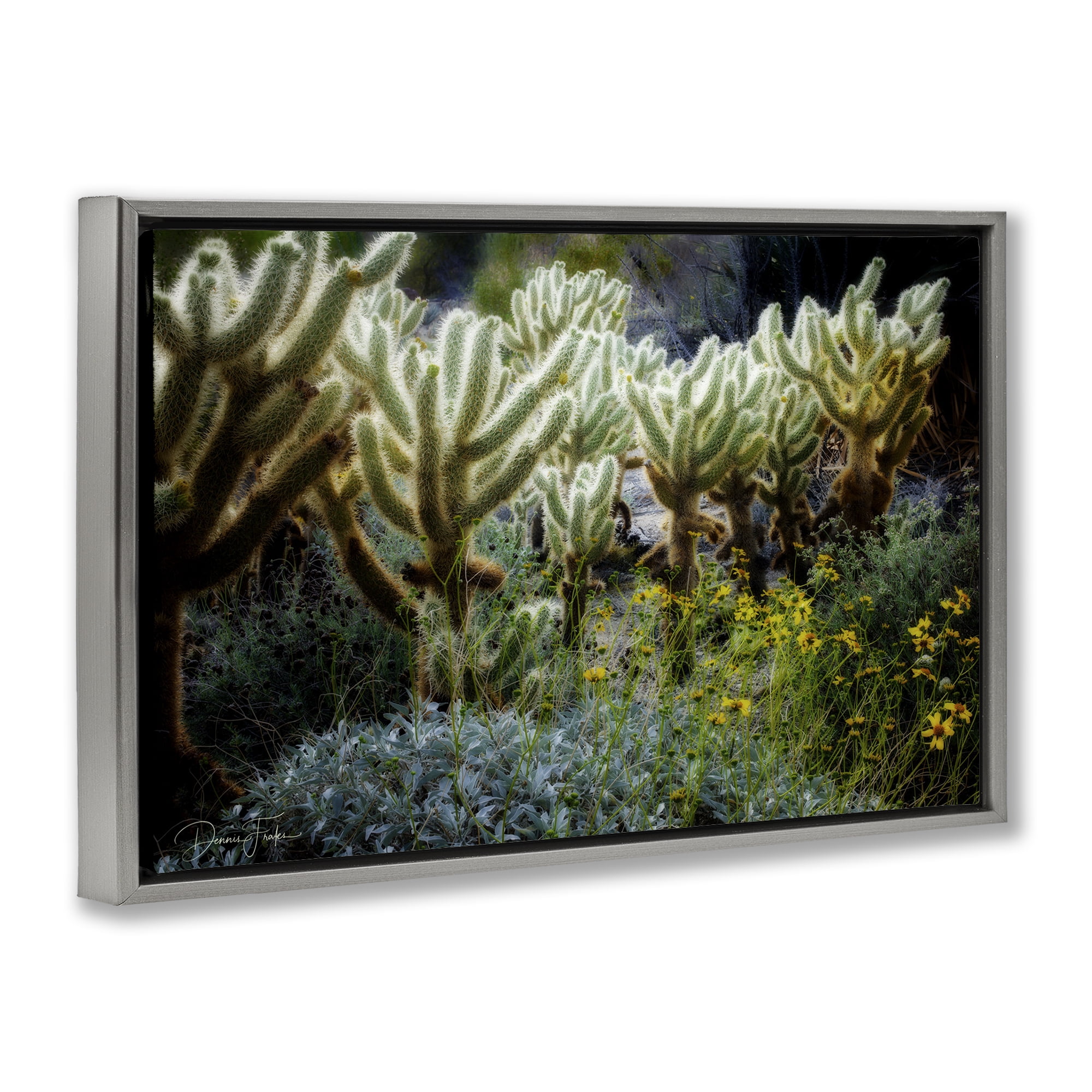Stupell Industries Desert Cactus Forest Landscape Photography Gray Floater Framed Canvas Art Print Wall Art, 25 x 17