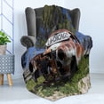 thumbnail image 4 of Vintage Car Soft Flannel Fleece Blanket, Old Car Trees Greenery in the Famous Route 66 Road in USA Rustic Home Art, Cozy Plush for Indoor and Outdoor Use, 60" x 80", Brown Green Blue, by Ambesonne, 4 of 5