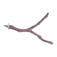 thumbnail image 3 of Bird Cage Branch Bird Grinding Claws Wood Portable Climb Parrot Stand Branch for, 3 of 9