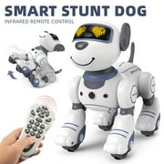 OUTOP 1 Box Electronic Pets Robot Dog Voice Remote Control Toys Music Song Toy For Kids Birthday Gift