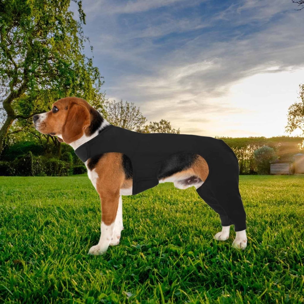 WINDLAND Dog Elbow Brace Sleeve for Injured Limb Promotes Comfort Rear Leg Wrap