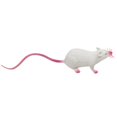 thumbnail image 4 of PENGXIANG Simulation Long Tail Mouse Rat Trick Joke Toy Photo Props Halloween Party Decor, 4 of 11