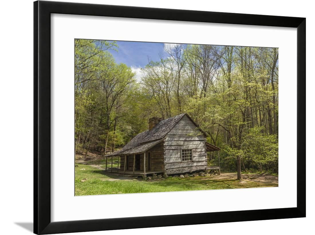 Noah Bud Ogle Cabin In Spring Great Smoky Mountains National