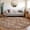 Fudge, variant on Addison Rugs Chantille Indoor/Outdoor Transitional Aztec Sky Machine Washable Rectangle Rug, 9' x 12'