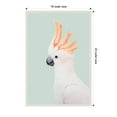 thumbnail image 3 of Amanti Art Cockatoo Framed Canvas Wall Art Print, 3 of 10