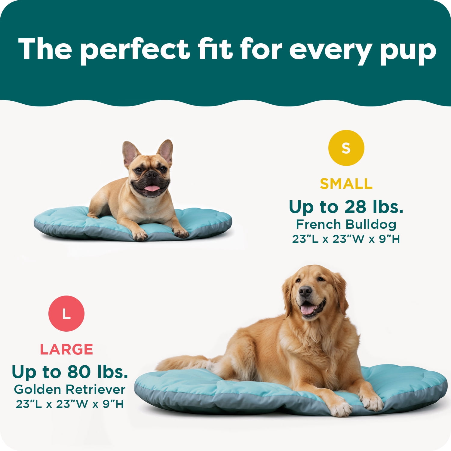 FH Trail Pup Travel Pillow Mat-LG - Aqua/Granite Gray